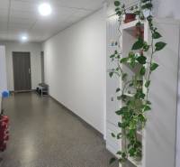 Reprezentatívny 2 izb.byt na prenájom SOHO TOWER Komárno ! - Chodba v 2-izbovom byte s dlažbou, zeleňou a únikovým značením na strope.