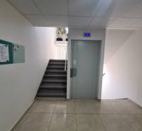 Reprezentatívny 2 izb.byt na prenájom SOHO TOWER Komárno ! - Schodisko s výťahom, dlažbou a rastlinami v 2-izbovom byte.