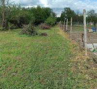 Na predaj RD na bývanie alebo investičná príležitosť Horné Saliby - Pozemok pri rodinnom dome na Salibskej ulici v Horných Salibách s trávnatou plochou a záhradou.