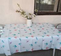 Na predaj RD na bývanie alebo investičná príležitosť Horné Saliby - Exteriér rodinného domu na Salibskej ulici v Horných Salibách s kovovým nábytkom.