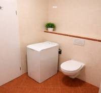 INVESTIČNÉ BÝVANIE V TOP LOKALITE: 2-IZBOVÝ BYT, JÉGÉHO UL, BRATISLAVA - Kúpeľňa s práčkou, závesným WC a rastlinou v 2-izbovom byte.