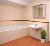 INVESTIČNÉ BÝVANIE V TOP LOKALITE: 2-IZBOVÝ BYT, JÉGÉHO UL, BRATISLAVA - Kúpeľňa s vaňou a umývadlom v 2-izbovom byte, doplnená zelenou rastlinou.