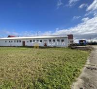 Na prenájom skladová hala, obec Rybky, okr. Senica - Sklady a haly v Rybkách obklopené zelenou plochou a betónovou cestou.