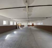 Na prenájom skladová hala, obec Rybky, okr. Senica - Priestranný interiér sklady a haly s oknami na oboch stranách, betónová podlaha.