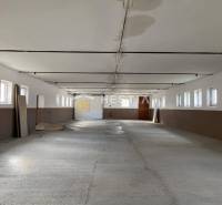 Na prenájom skladová hala, obec Rybky, okr. Senica - Rozsiahly priestor v skladoch a halách s radom okien a betónovou podlahou.