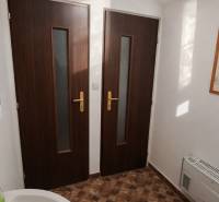 Prenájom gastro priestoru v centre Krupiny - Interiér s dvoma drevenými dverami a podlahou s dreveným dekorom v gastro priestoroch.