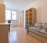 Priestranný 3-izbový byt s loggiou, Staré Mesto - Izba v 3-izbovom byte s rozkladacou pohovkou, regálmi a podlahou s dreveným dekorom.