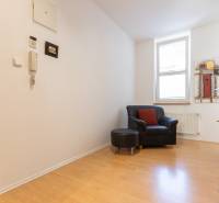 Priestranný 3-izbový byt s loggiou, Staré Mesto - Interiér 3-izbového bytu s kreslom, podlahou s dreveným dekorom a obrazom na stene.