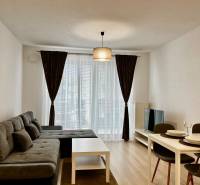 PRENÁJOM NOVOSTAVBA 2 izb.byt, BALKÓN, PARKOVACIE MIESTO, BIELY KOSTOL - Obývacia izba v 2-izbovom byte s pohovkou, jedálenským stolom a podlahou s dreveným dekorom.