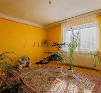 NA PREDAJ 7 IZBOVÝ RODINNÝ DOM, DUNAJSKÁ STREDA - Izba v rodinnom dome s rastlinami, koberec a podlaha s dreveným dekorom.