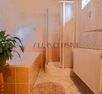 NA PREDAJ 7 IZBOVÝ RODINNÝ DOM, DUNAJSKÁ STREDA - Kúpeľňa rodinného domu s vaňou, sprchovým kútom, radiátorom a rastlinou v kvetináči.