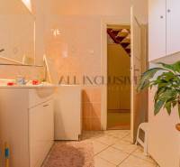 NA PREDAJ 7 IZBOVÝ RODINNÝ DOM, DUNAJSKÁ STREDA - Kúpeľňa v rodinnom dome so svetlými obkladačkami, umývadlom a zelenou rastlinou.