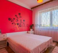 NA PREDAJ 7 IZBOVÝ RODINNÝ DOM, DUNAJSKÁ STREDA - Spálňa v rodinnom dome s červenými stenami, posteľou a dreveným dekorom podlahy.