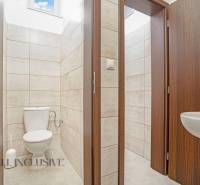 NA PRENÁJOM OBCHODNÝ PRIESTOR-KANCELÁRIA ,DUN. STREDA - Toaleta s umývadlom v priestoroch na ulici Jilemnického, vhodné pre kancelárie.