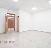 NA PRENÁJOM OBCHODNÝ PRIESTOR-KANCELÁRIA ,DUN. STREDA - Priestranná miestnosť s bielymi stenami a drevenými dverami na ulici Jilemnického.