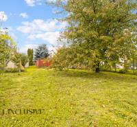 NA PREDAJ 2-IZBOVÝ RODINNÝ DOM S PODKROVÍM, BODÍKY - Záhrada v Bodíkoch pri rodinnom dome, s trávou a ovocnými stromami.