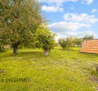 NA PREDAJ 2-IZBOVÝ RODINNÝ DOM S PODKROVÍM, BODÍKY - Záhrada rodinného domu v Bodíkoch s trávnikom a stromami, vedľa drevená chatka.