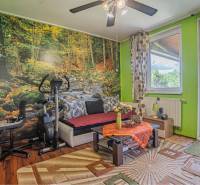 NA PREDAJ 3 IZBOVÝ RODINNÝ DOM, KĽÚČIAROVÉ KRAČANY - Obývacia izba v rodinnom dome s lesnou tapetou, stolíkom a podlahou s dreveným dekorom.