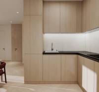 NA PREDAJ 4-IZBOVÉ RD – REZIDENČNÝ PROJEKT, GABČÍKOVO - Kuchyňa s podlahou s dreveným dekorom v rodinnom dome, svetlé skrinky, čierna pracovná doska.