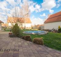 ZNÍŽENÁ CENA | NA PREDAJ DVOJGENERAČNÝ RODINNÝ DOM, AMADE KRAČANY - Záhrada s bazénom, terasou, trávnikom a dom na ulici Amade Kračany.