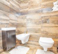 NA PREDAJ NADŠTANDARDNÁ 4-IZB. NOVOSTAVBA, DUN. KLÁTOV - Kúpeľňa v rodinnom dome s umývadlom, toaletou a dekoratívnou soškou na polici.