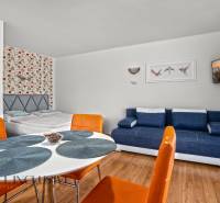 NA PREDAJ APARTMÁNOVÝ DOM VO VEĽKOM MEDERI - Interiér izby v hoteloch a penziónoch s podlahou s dreveným dekorom, posteľou a sedačkou.