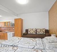 NA PREDAJ APARTMÁNOVÝ DOM VO VEĽKOM MEDERI - Interiér hotelovej izby s kuchynským kútom a podlahou s dreveným dekorom.