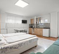 NA PREDAJ APARTMÁNOVÝ DOM VO VEĽKOM MEDERI - Izba s kuchynským kútom, podlahou s dreveným dekorom a pohodlným sedením v Hoteloch a penziónoch.