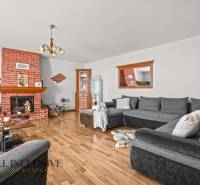 NA PREDAJ 6-IZBOVÝ POSCH. RODINNÝ DOM, HORNÉ SALIBY - Obývacia izba v rodinnom dome s krbom, šedým gaučom a podlahou s dreveným dekorom.