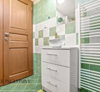 NA PREDAJ 6-IZBOVÝ POSCH. RODINNÝ DOM, HORNÉ SALIBY - Kúpeľňa s drevenými dverami, zelenými obkladmi a bielym nábytkom v rodinnom dome.