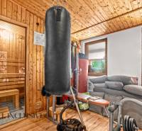 NA PREDAJ 6-IZBOVÝ POSCH. RODINNÝ DOM, HORNÉ SALIBY - Domáca telocvičňa v rodinnom dome s boxovacím vrecom a saunou, podlaha s dreveným dekorom.