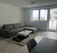 NOVÝ ZARIADENÝ KRÁSNY BYT S TERASOU - Obývačka s pohovkou, stôl, výhľad na ulicu Muškátová, vhodné ako 1-izbový byt.