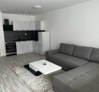 NOVÝ ZARIADENÝ KRÁSNY BYT S TERASOU - Obývačka v 1-izbovom byte na ulici Muškátová, obsahuje kuchyňu, šedú sedačku a biely stolík.