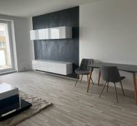 NOVÝ ZARIADENÝ KRÁSNY BYT S TERASOU - Obývacia miestnosť v 1-izbovom byte na ulici Muškátová, moderný dizajn, svetlé podlahy.