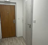 NOVÝ ZARIADENÝ KRÁSNY BYT S TERASOU - Na obrázku je vstupný priestor v 1-izbovom byte na ulici Muškátová.