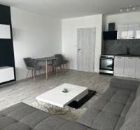 NOVÝ ZARIADENÝ KRÁSNY BYT S TERASOU - Obývacia izba v 1-izbovom byte s gaučom a kuchynkou na ulici Muškátová.