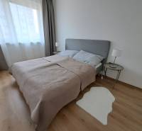 REZERVOVANÉ! Prenajmeme 3-izb. byt, 78 m2, Vráble, okr. Nitra - Spálňa v 3-izbovom byte s podlahou s dreveným dekorom, sivým posteľným čelom a koberečkom.