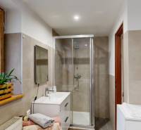 Rodinný dom Unín s pozemkom 941 m2 - Kúpeľňa s rastlinami, sprchovým kútom a umývadlom v rodinnom dome.