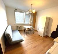 EXKLUZÍVNY PREDAJ - 1 izbový byt Revolučná Štvrť , Galanta - Izba v 1-izbovom byte s podlahou s dreveným dekorom, pohovkou a kuchynským kútom.