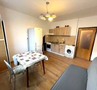 EXKLUZÍVNY PREDAJ - 1 izbový byt Revolučná Štvrť , Galanta - Interiér 1-izbového bytu s kuchynským kútom, obývačkou a podlahou s dreveným dekorom.