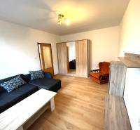 EXKLUZÍVNY PREDAJ - 1 izbový byt Revolučná Štvrť , Galanta - Obývacia izba v 1-izbovom byte s pohovkou a podlahou s dreveným dekorom.