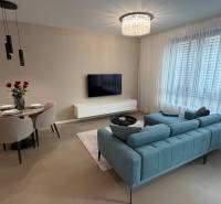 Exk. prenájom lux. 2 iz bytu Rezidencia Blumental - Obývacia izba v 2-izbovom byte s podlahou s dreveným dekorom a pohodlným sedením.