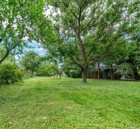 Na predaj stavebný pozemok na RD v Bernolákove 802m2 - Zeleň a stromy na pozemkoch pre bývanie na Okružnej ulici v Bernolákove.