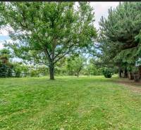 Na predaj stavebný pozemok na RD v Bernolákove 802m2 - Zeleň a stromy na pozemku na bývanie v Bernolákove na Okružnej.