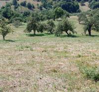 Hospodárska usadlosť s 3,6 hektárovým pozemkom na samote Nová Baňa - Krajina s ovocnými stromami na lúke, ideálna pre rodinný dom v prírode.