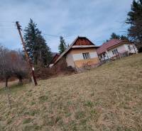 Hospodárska usadlosť s 3,6 hektárovým pozemkom na samote Nová Baňa - Rodinný dom v prírodnom prostredí, trávnatý pozemok, stromy, elektrický stĺp.