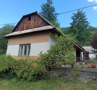 Hospodárska usadlosť s 3,6 hektárovým pozemkom na samote Nová Baňa - Vidiecky dom obklopený zeleňou, v pozadí lesná scenéria a strom.