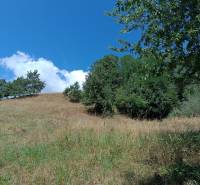 Hospodárska usadlosť s 3,6 hektárovým pozemkom na samote Nová Baňa - Lúka s kopcovitým terénom, zelené stromy, modrá obloha, vhodné na rodinný dom.