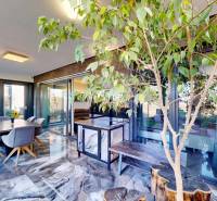 , predaj 4 izb. novostavby zariadeného RD, Jarná, Hviezdoslavov - Jedáleň v rodinnom dome s lesklou podlahou a veľkým izbovým stromom.