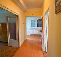 NA PREDAJ 5 izbový rodinný dom s veľkou záhradou v obci Iža - Chodba v rodinnom dome s podlahou s dreveným dekorom a obrazom na stene.